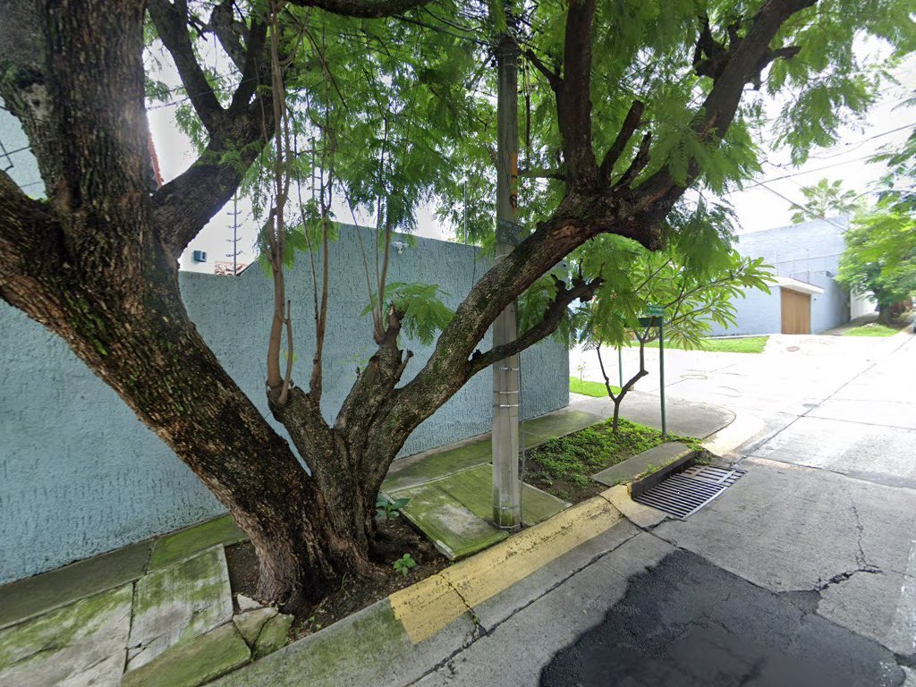 Salcedo-Macías Abogados — Guadalajara