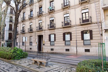 Carrera Abogados y Economistas — Granada