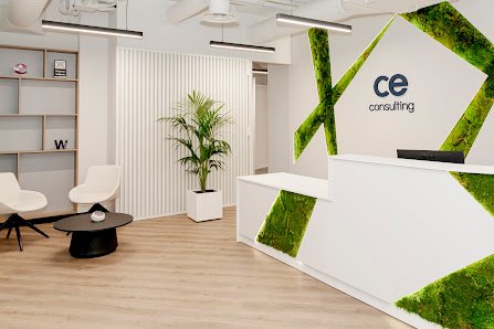 CE Consulting