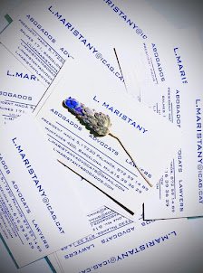 LILIAN MARISTANY ADVOCATS — Palamós
