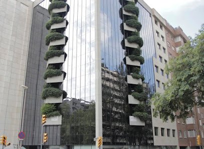 Roca Asociados