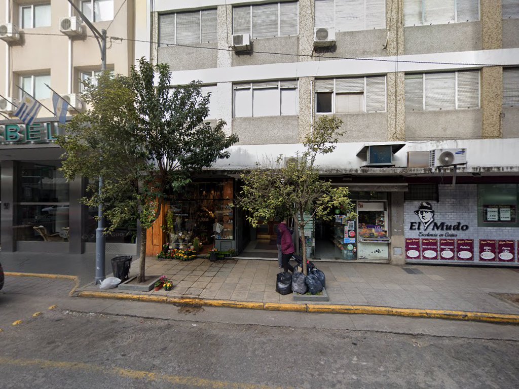 Gemignani Ivan L — Mar del Plata