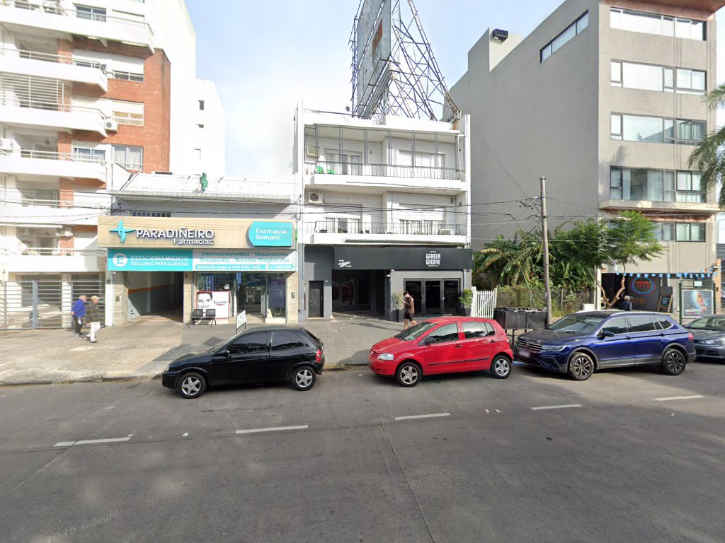 Taibo — Olivos