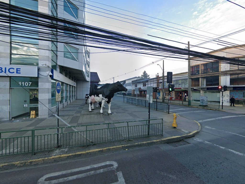 ABOGADA G&O — Osorno