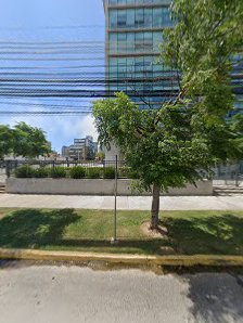 Asesor Penal - Viña del Mar - Valparaíso