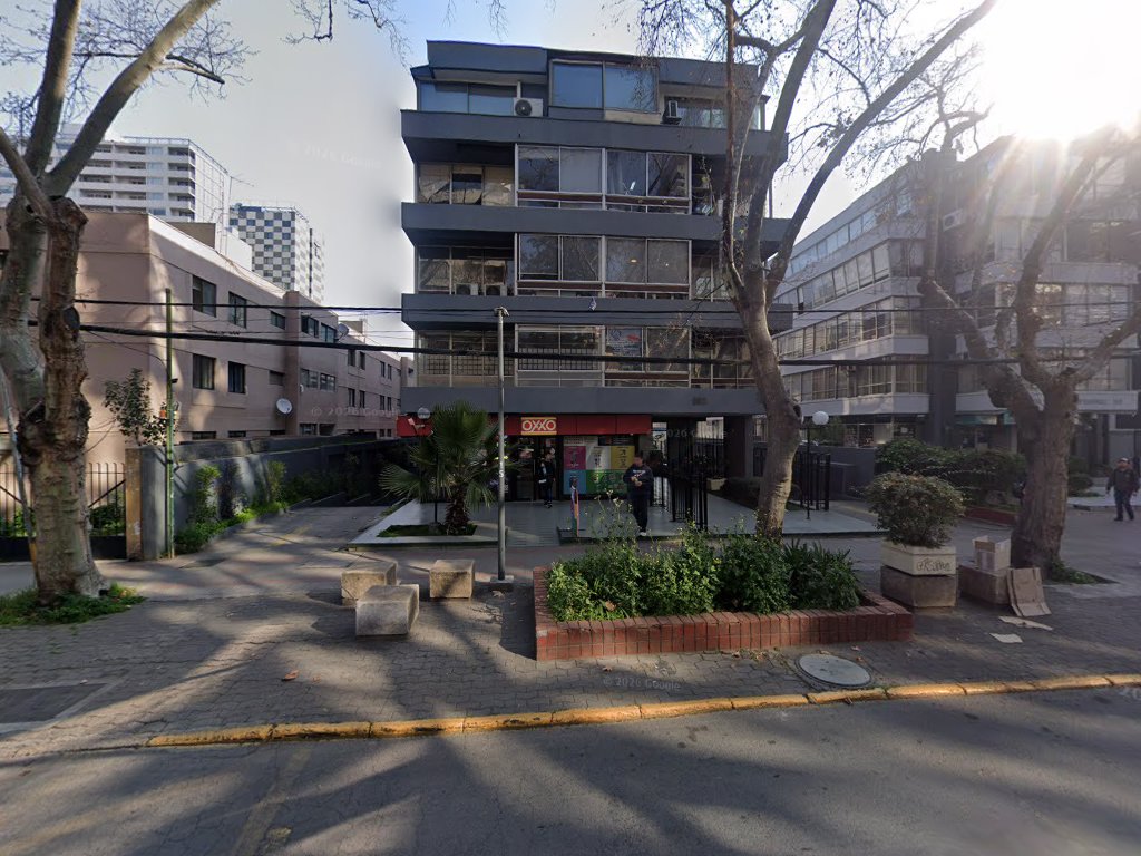 Zlatica Yaksic Arce — Providencia