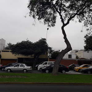 ROCHA& ASOCIADOS ABOGADOS — Miraflores