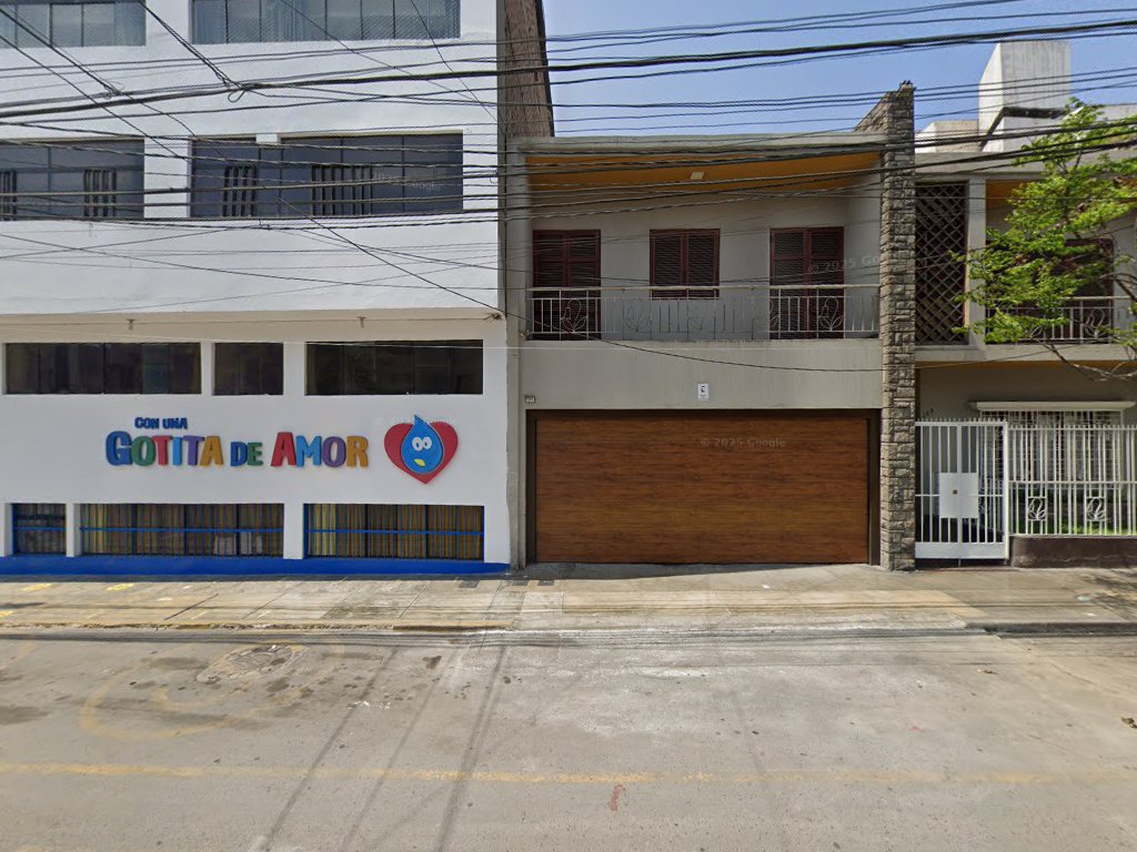 Proyectos Y Consultoria E.I.R.L — Lince